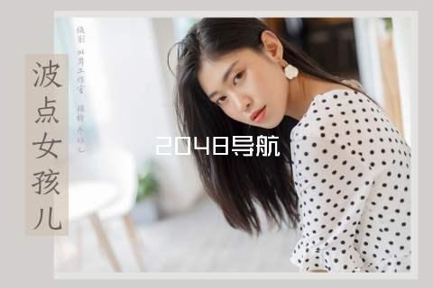 2048导航